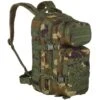 Mil-Tec MOLLE US Assault Pack Small Woodland 2 Mil-Tec MOLLE US Assault Pack Small Woodland -HIGHLANDER Sales Store MIL TEC MOLLE US ASSAULT PACK SMALL WOODLAND 01